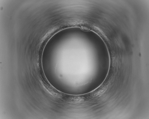 X0000070880443200606191319