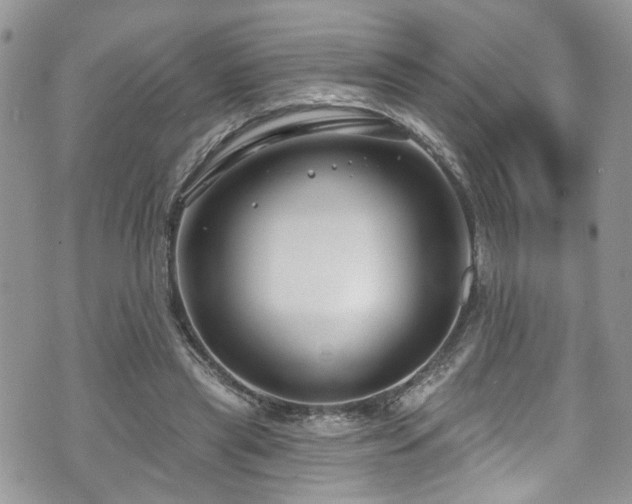 X0000070880445200606191319