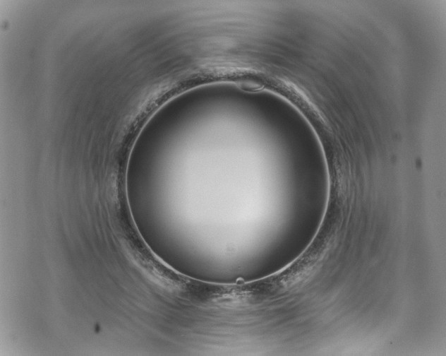 X0000070880447200606191319