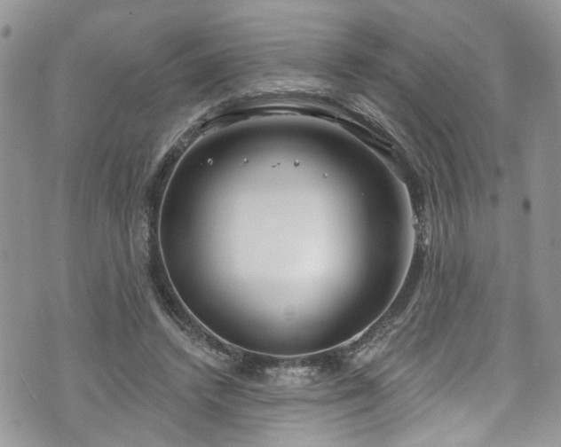 X0000070880448200606191319