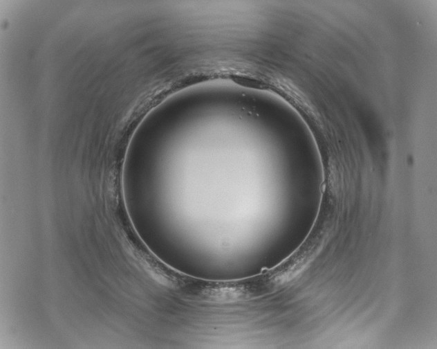 X0000070880449200606191319