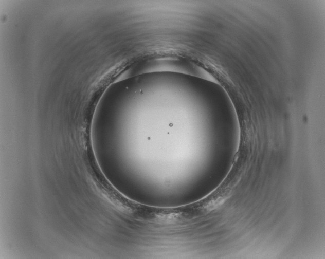 X0000070880450200606191319