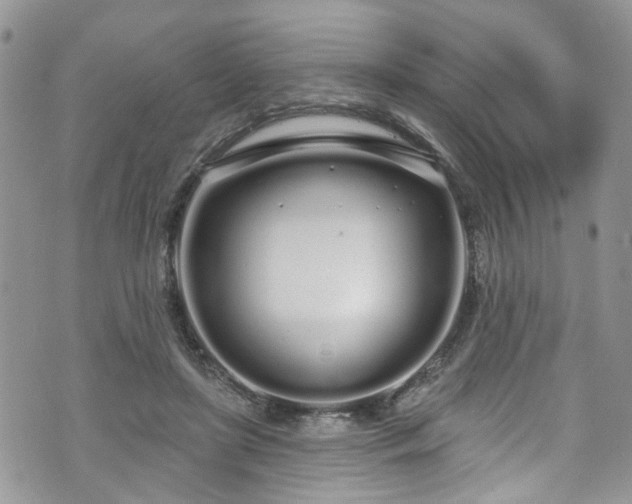 X0000070880451200606191319