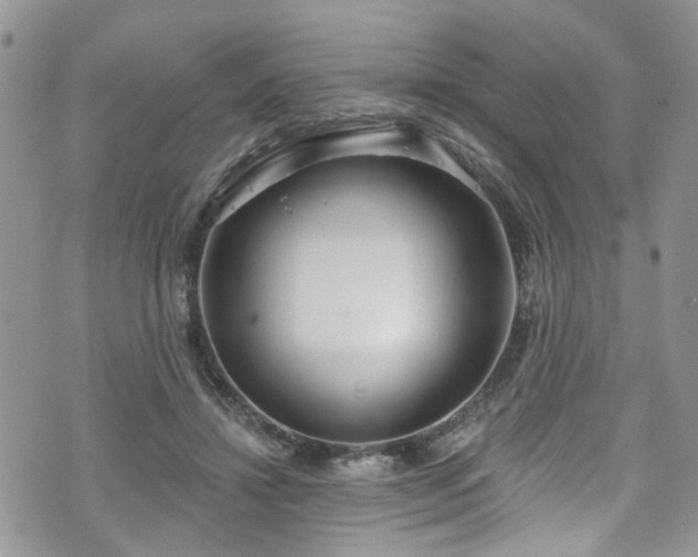 X0000070880452200606191319