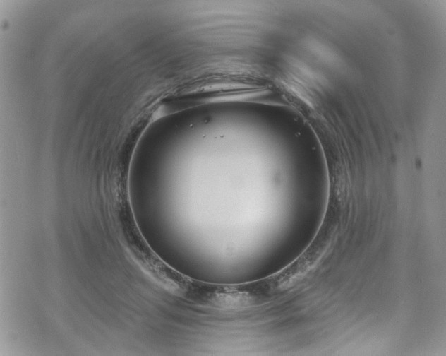 X0000070880455200606191319