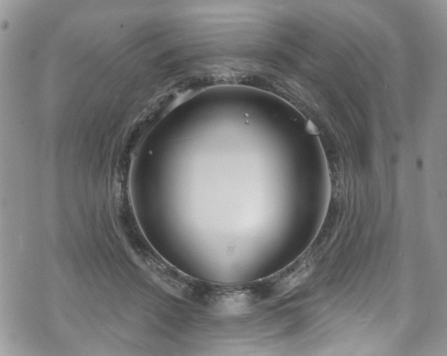 X0000070880456200606191319