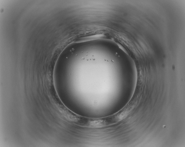 X0000070880461200606191319