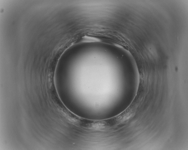 X0000070880462200606191319