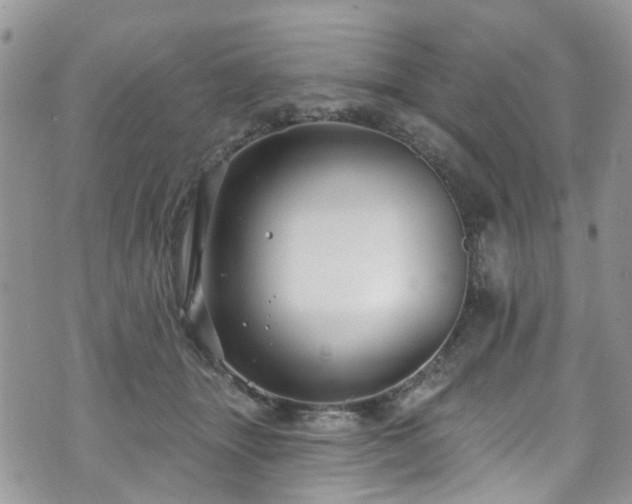 X0000070880463200606191319