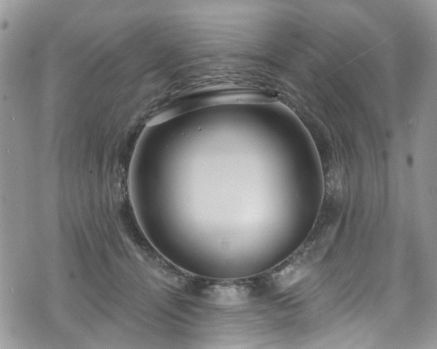 X0000070880464200606191319