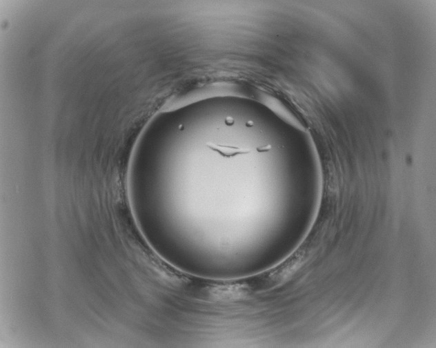 X0000070880465200606191319