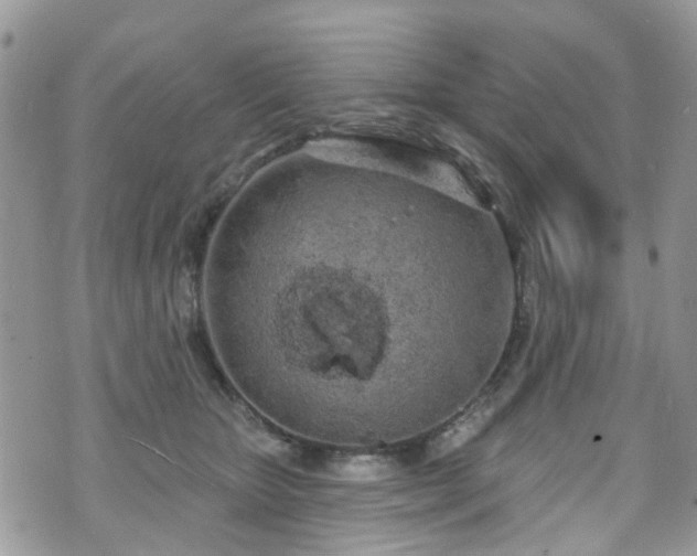 X0000070880467200606191319