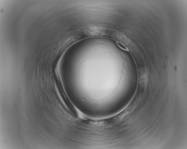 X0000070880469200606191319