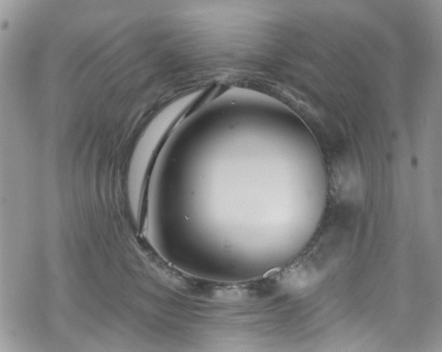 X0000070880470200606191320