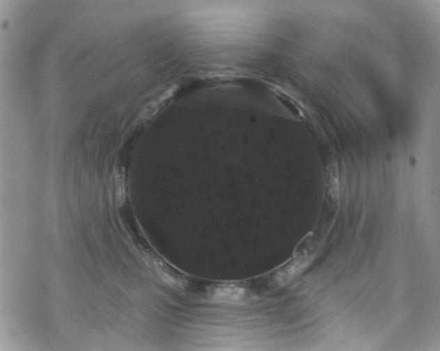 X0000070880471200606191320