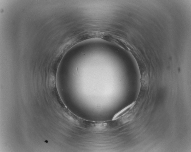 X0000070880474200606191320