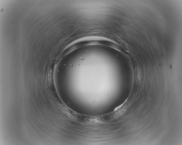 X0000070880475200606191320