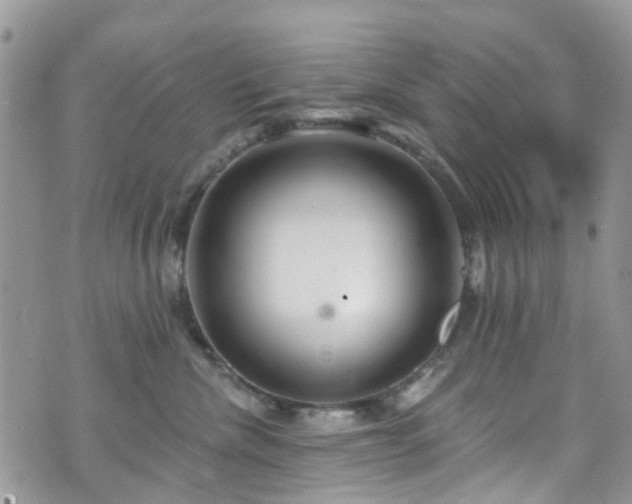 X0000070880476200606191320