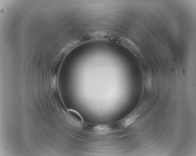 X0000070880477200606191320