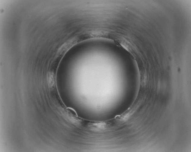 X0000070880478200606191320