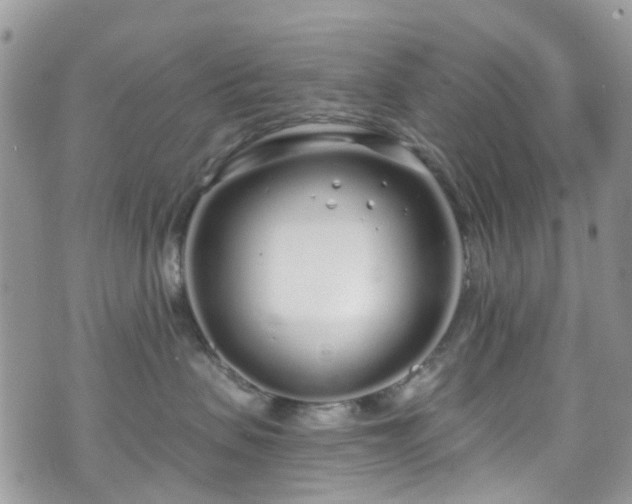 X0000070880479200606191320