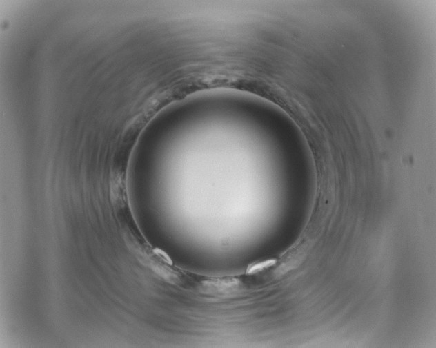 X0000070880480200606191320