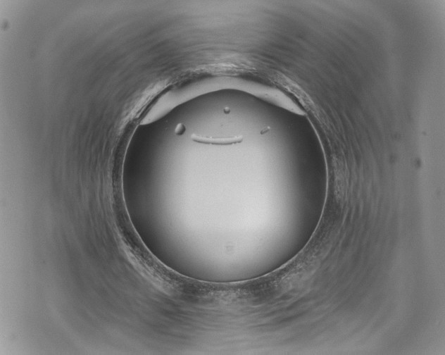 X0000070880482200606191319