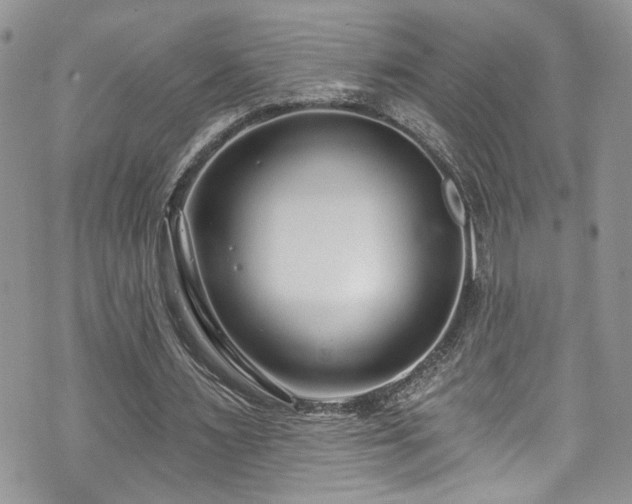 X0000070880483200606191319