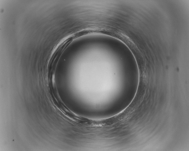 X0000070880484200606191319