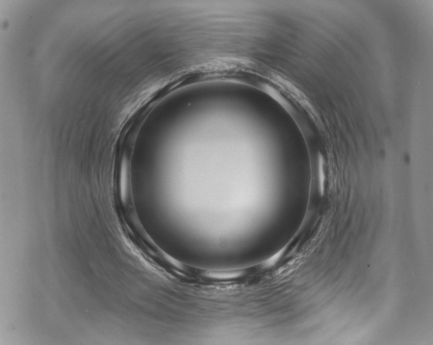 X0000070880485200606191319