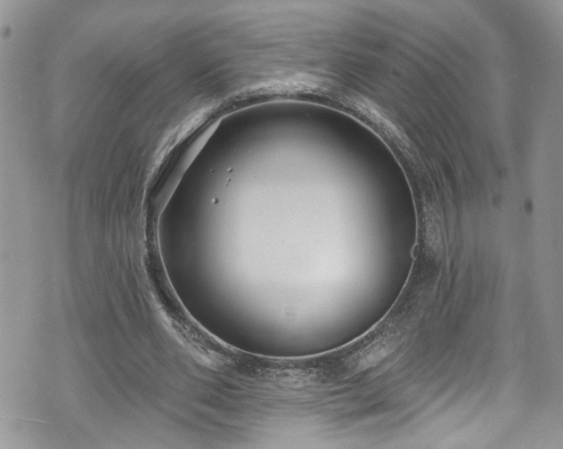 X0000070880486200606191319