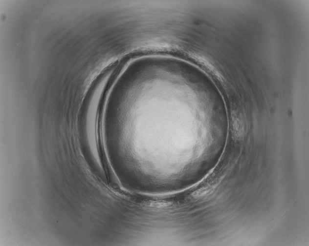 X0000070880487200606191319