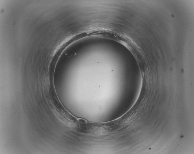 X0000070880488200606191319