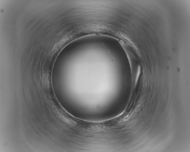 X0000070880489200606191319