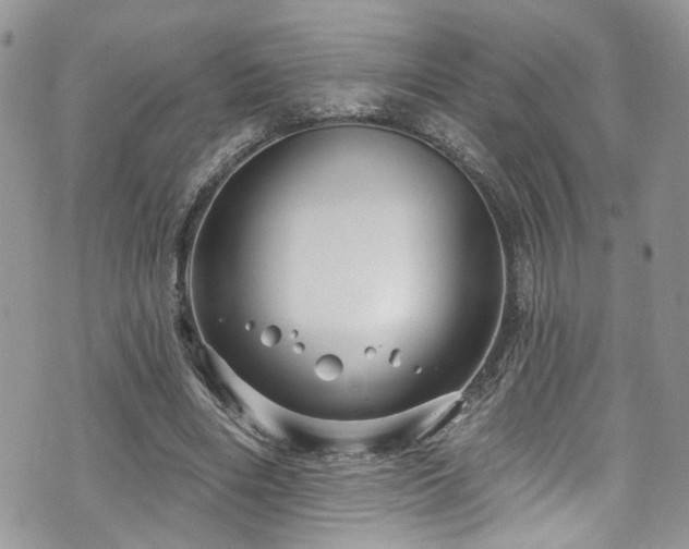 X0000070880490200606191319