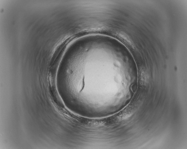 X0000070880491200606191319