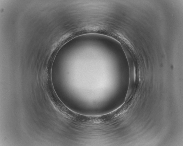 X0000070880492200606191319