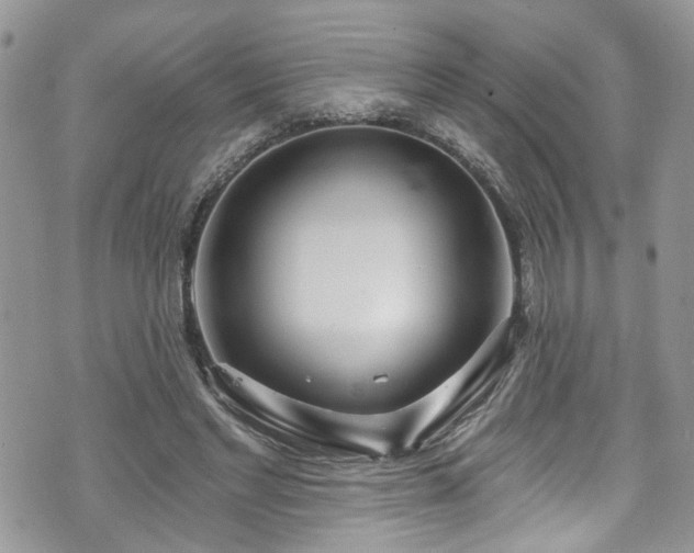 X0000070880493200606191319