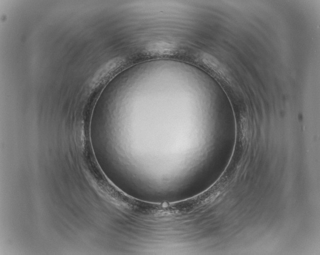 X0000070880494200606191319