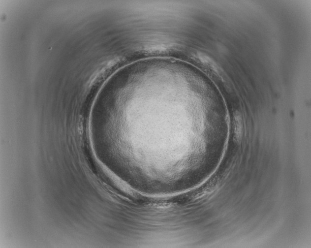 X0000070880495200606191319