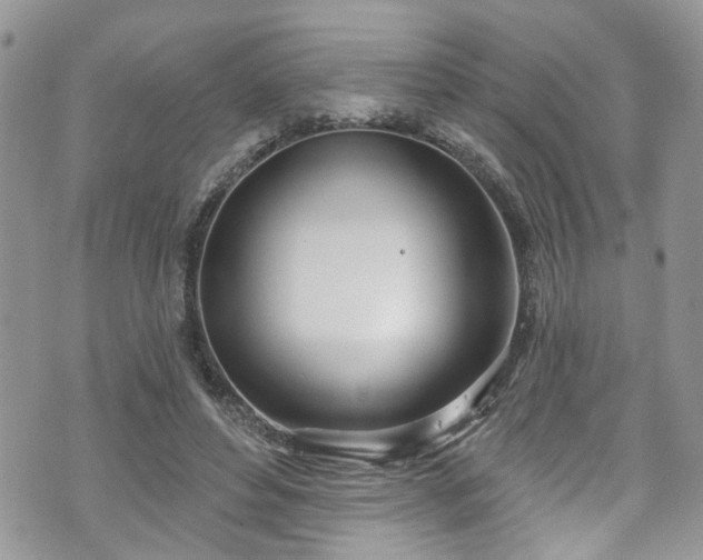 X0000070880496200606191319