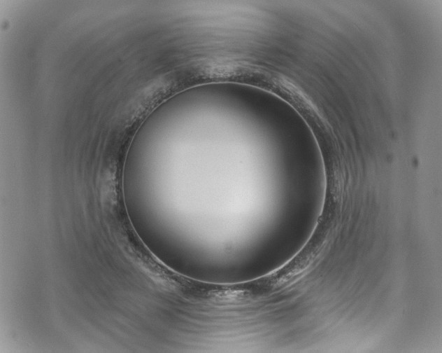 X0000070880497200606191319