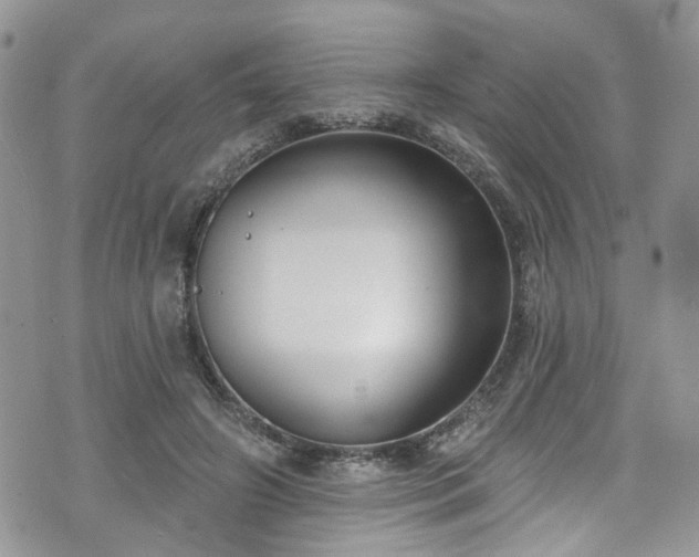 X0000070880498200606191319