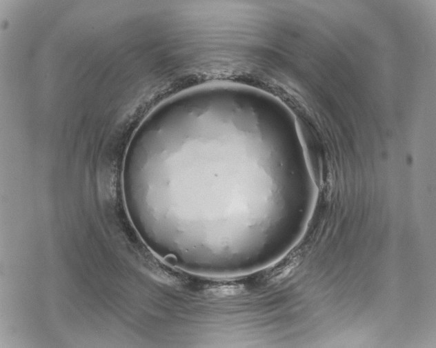 X0000070880499200606191319