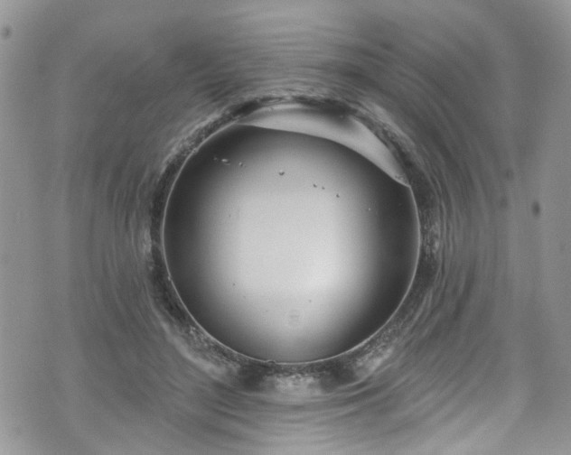 X0000070880500200606191319