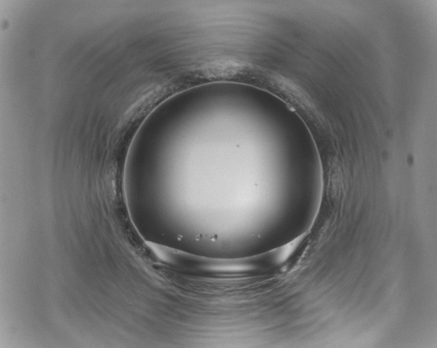 X0000070880501200606191319