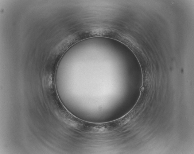 X0000070880502200606191319