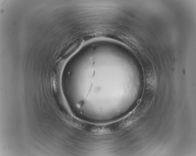 X0000070880503200606191319