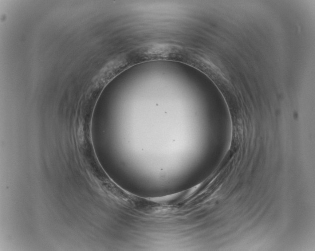 X0000070880504200606191319