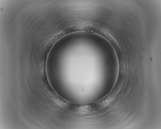 X0000070880505200606191318